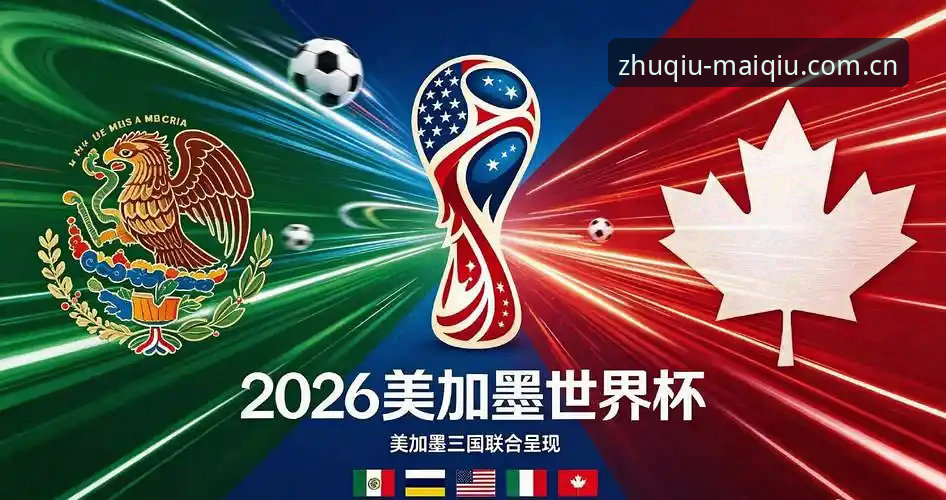 世界杯观赛困境深度分析：从签证危机到冷场阴影，买球体育平台用户如何看透赛事背后真相