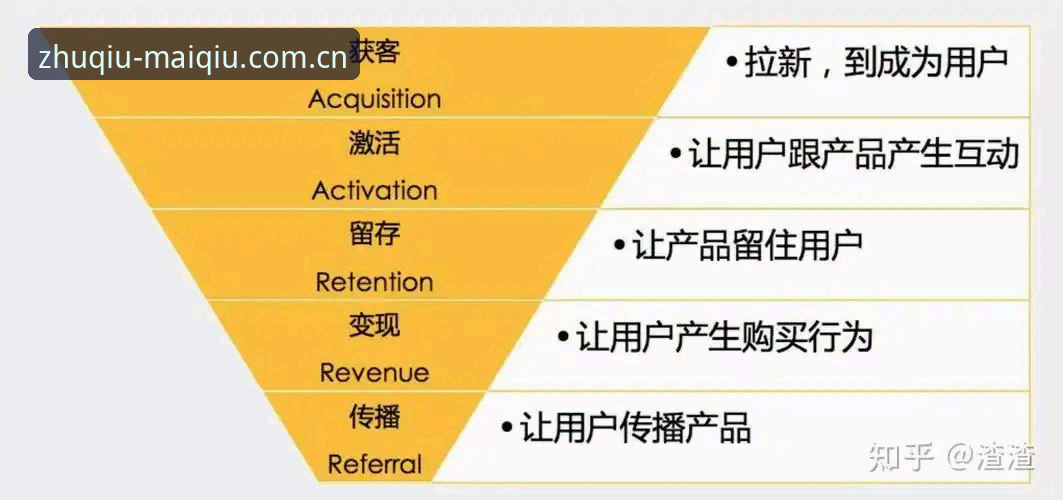 买球最新版下载哪个好？从用户体验到版本迭代的全面解析