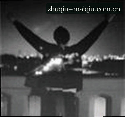 赵宇